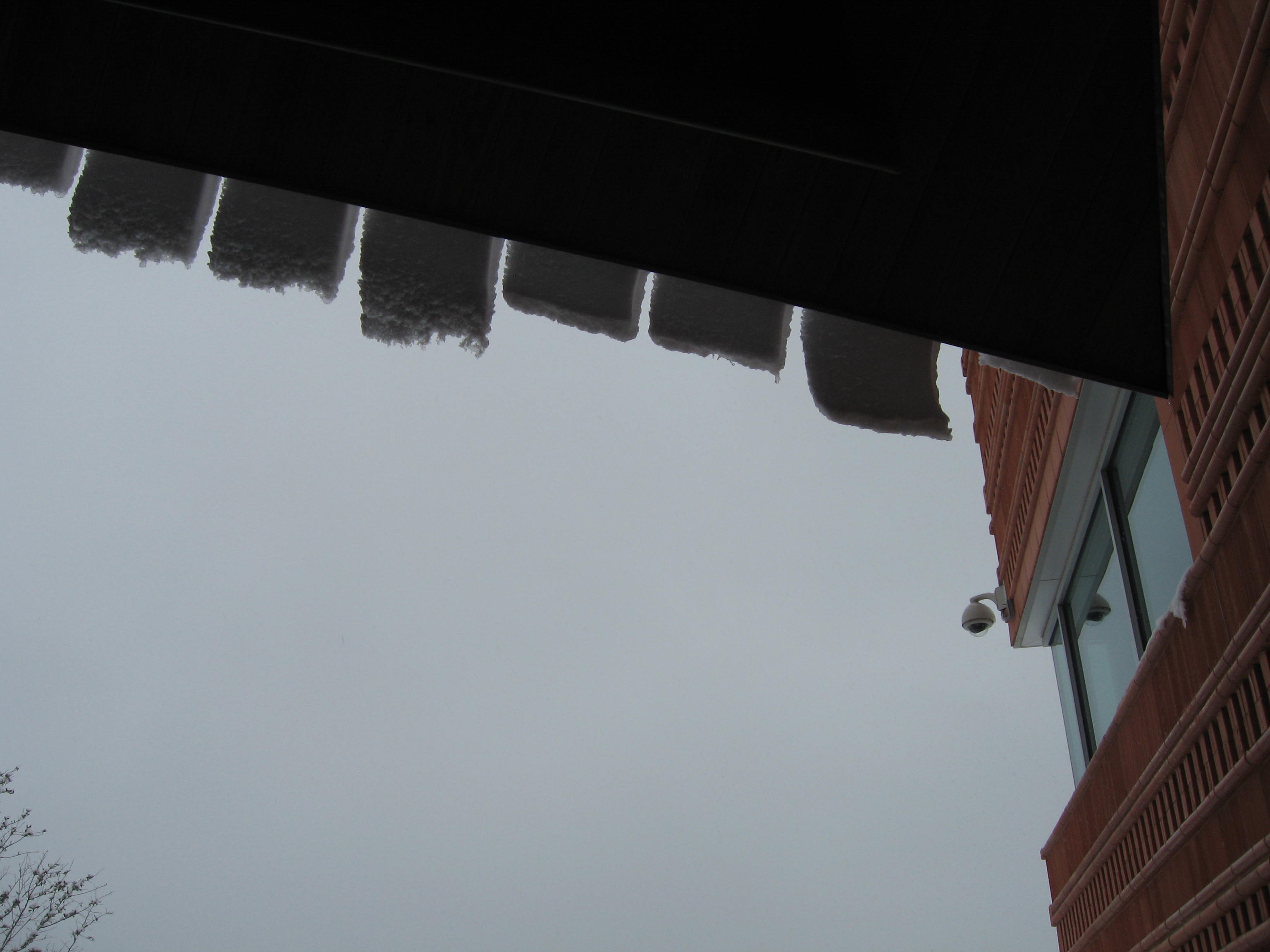 10.02.11 cedar hill snow scenes 019